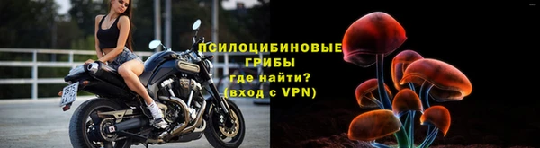 альфа пвп Киреевск