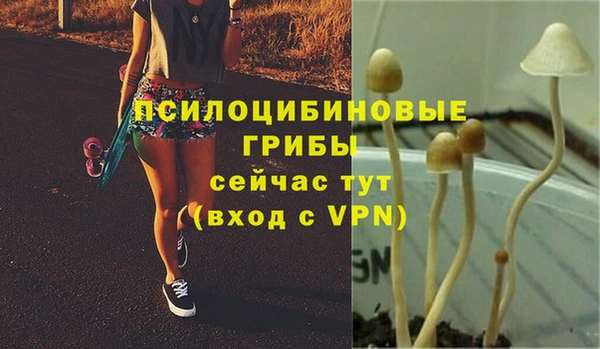 не бодяженный Кинешма