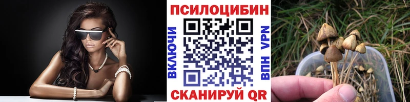 Купить закладки  Абдулино  Галлюциногенные грибы Cubensis 